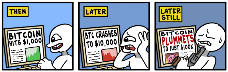 Bitcoin Crashes im Laufe der Zeit